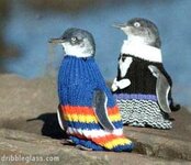 penguin jumpers.jpg