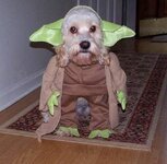 dog costume 4.jpg