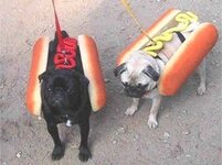 dog costume 11.jpg