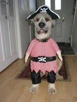 dog costume13.jpg