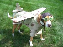 dog costume14.jpg