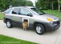 doggy door in car.jpg