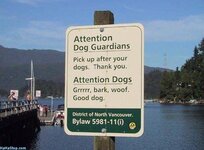 Dogs_Attention.jpg