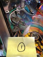 IMG_3768.jpg