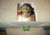 shagging yoda.jpg shagging yoda.jpg