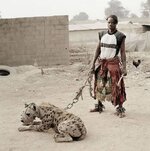 pet hyena.jpg