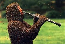 bee man plays oboe.jpg