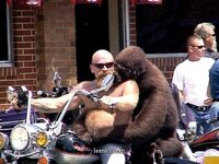 biker dude with big monkey.jpg