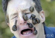 snailface.jpg