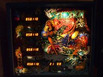 DSCF3358.jpg
