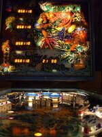 DSCF3379.jpg