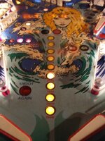 DSCF3371.jpg