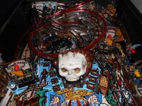 DSCN1021.jpg
