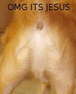 jesus on dog anus.jpg