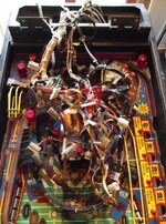 DSCF4019.jpg