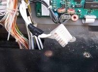 DSCF4033.JPG