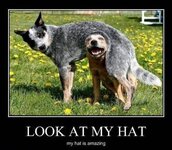 ImageUploadedByTapatalk1369869829.751960.jpg