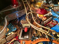 IMG_0517.JPG