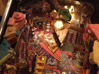 IMG_0050.JPG
