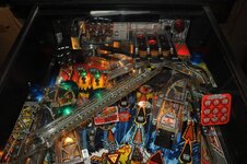 DSC_7866.JPG