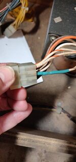 IMG_20200118_181024.jpg