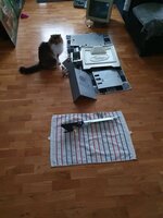20200126_113116.jpg