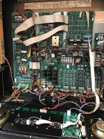 TAF backbox.jpg