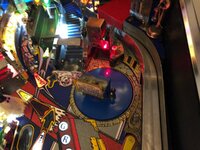 IMG_9595.jpg