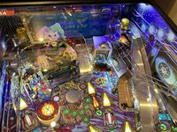 IMG_4913.JPEG