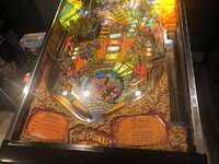 IMG_9665.jpg IMG_9665.jpg