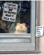 FB_IMG_1584540442183.jpg