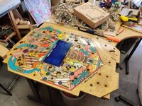 IMG_20200324_145818.jpg