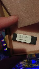DSC_1146.JPG