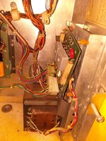20200421_174427.jpg