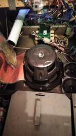IMG_20200501_140012.jpg