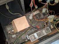 IMG_20200504_171513.jpg
