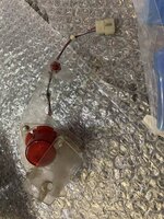 IMG_9196.JPG