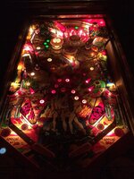 IMG_3126.jpg