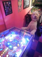 Penny2.jpg