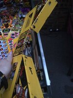 IMG_3983.jpg