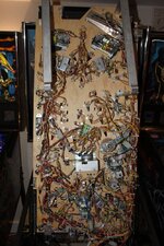 IMG_6493.JPG