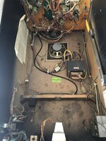 IMG_4386.jpeg