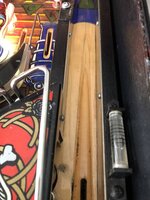 IMG_4385.jpeg