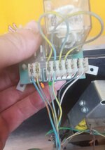 IMG_20200705_130924.jpg