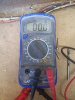 IMG_20200705_140320.jpg