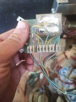 IMG_20200705_143521.jpg