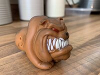 IMG_2663.jpeg