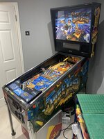 IMG_2919.jpeg