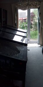IMG_20200715_160333.jpg