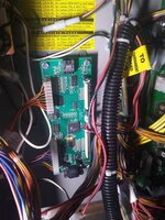 IMG_20200725_160335551.jpg